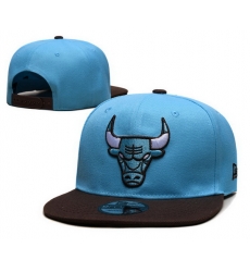 Chicago Bulls Snapback Cap 25G053