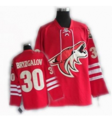 cheap Phoenix Coyotes jersey #30 BRYZGALOV jersey red cheap Phoenix Coyotes jersey #30 BRYZGALOV jersey red