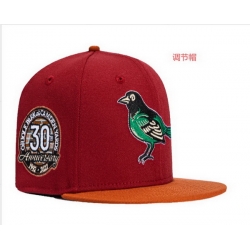 Baltimore Orioles Snapback 25G003