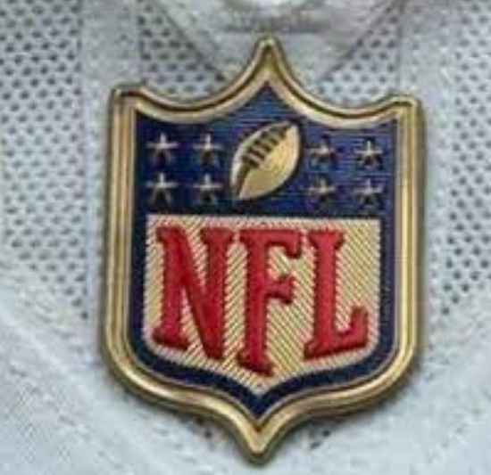 Youth Carolina Panthers Gold NFL Logo Patch Biaog